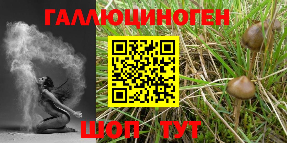 Галлюциногенные грибы MAGIC MUSHROOMS Семилуки