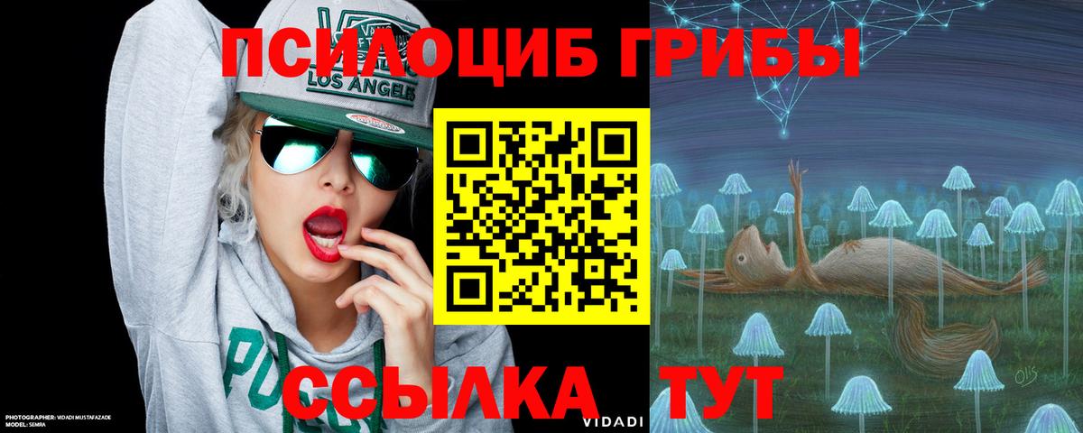 Галлюциногенные грибы Magic Shrooms  Галлюциногенные грибы мицелий  Семилуки  хочу наркоту  Вход с VPN 